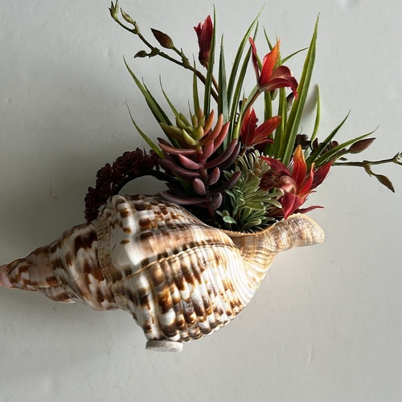 Shell Art Triton Trumpet Shell Faux Floral Planter Decor - Picture 7 of 10